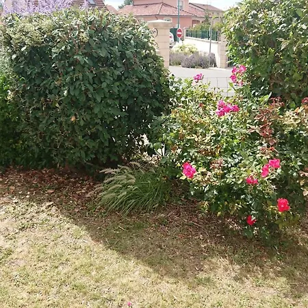 בית נופש Maison Individuelle Au Coeur De La Champagne